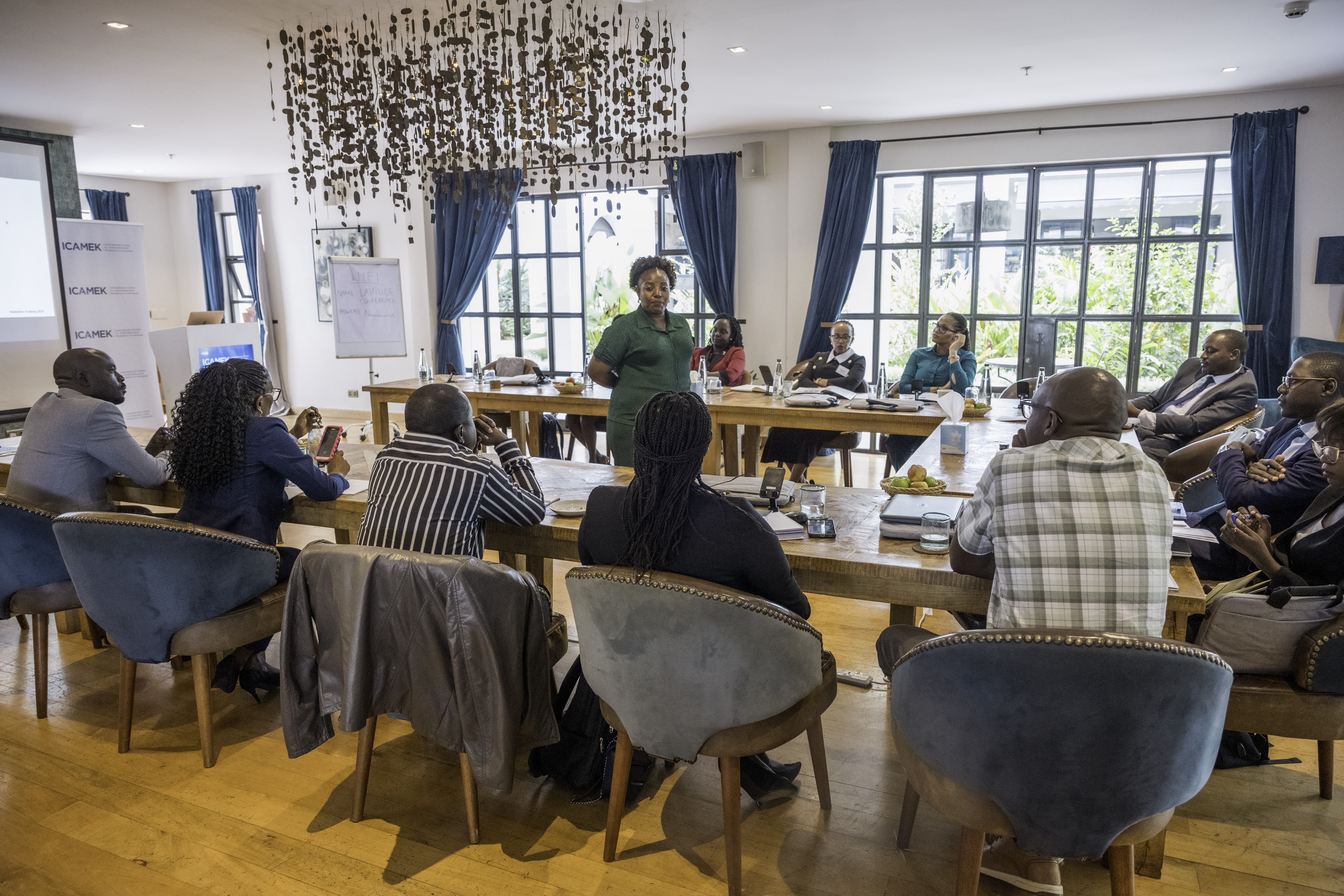 Professional Mediator Training